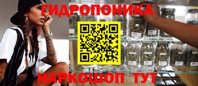 PSILOCYBIN Кандалакша