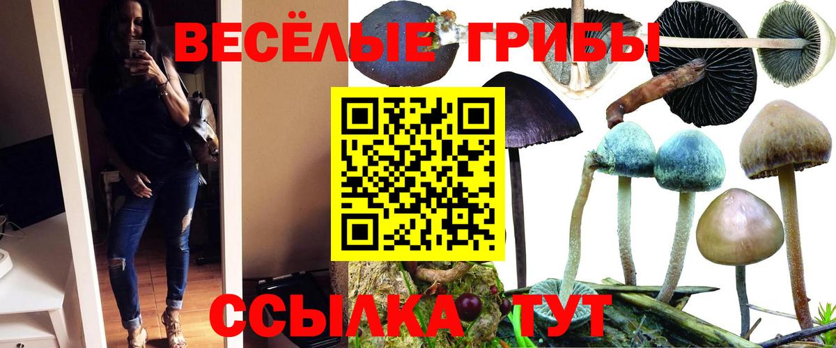 Галлюциногенные грибы Cubensis Каспийск