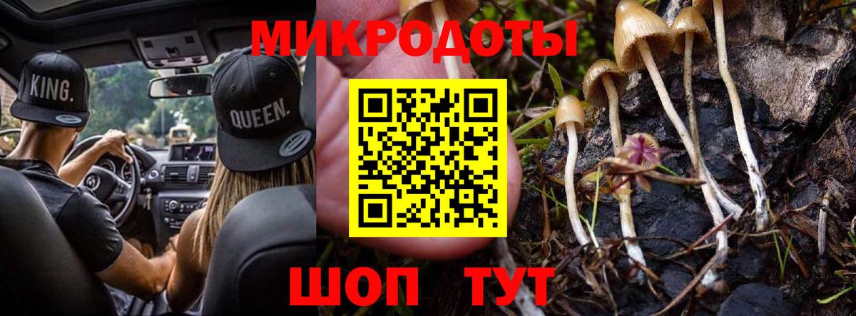 Псилоцибиновые грибы Psilocybe  Вход с VPN  Каспийск 