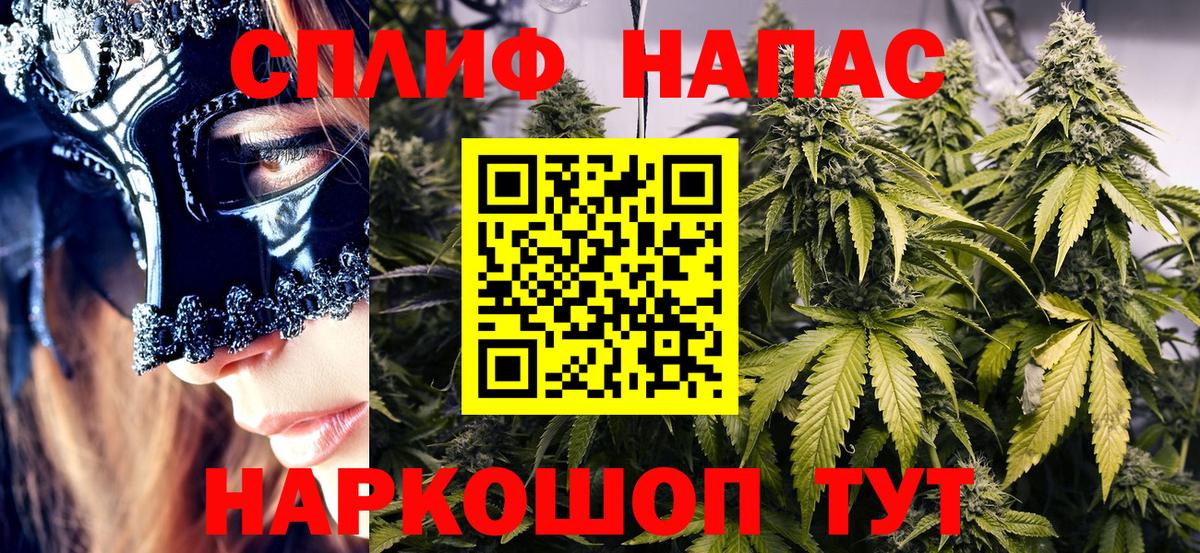 Бошки Шишки планчик Каспийск